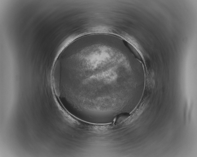 X0000115361389200911101147