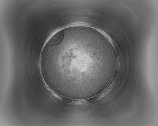 X0000115361390200911101147