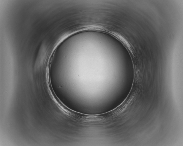X0000115361391200911101147