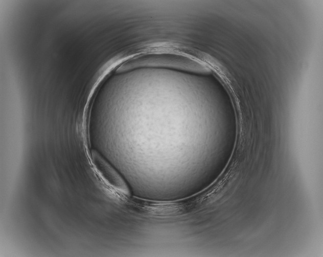 X0000115361392200911101147