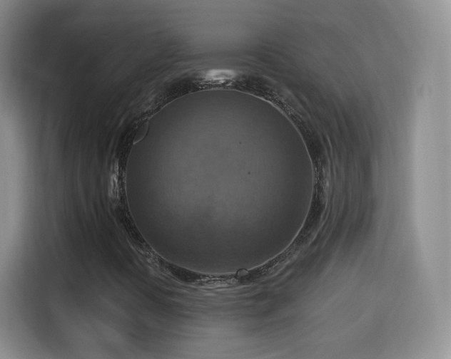X0000115361394200911101147