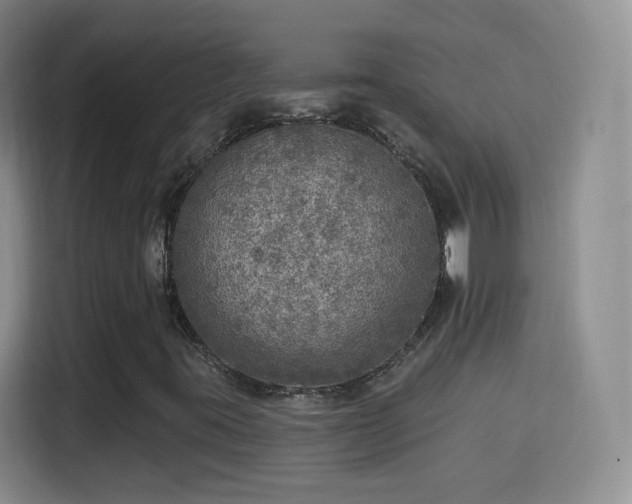 X0000115361395200911101147