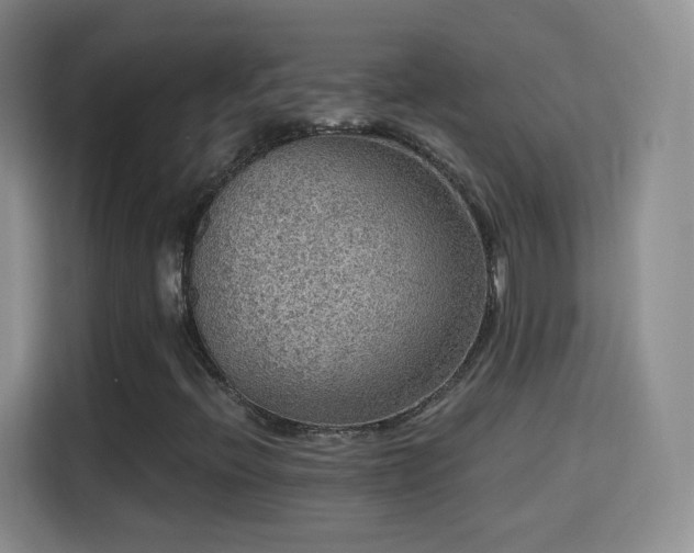 X0000115361396200911101147