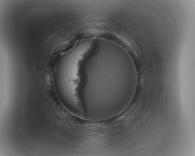 X0000115361397200911101147