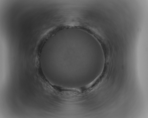 X0000115361398200911101147