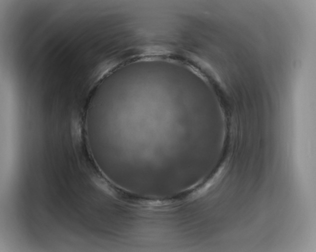 X0000115361401200911101147