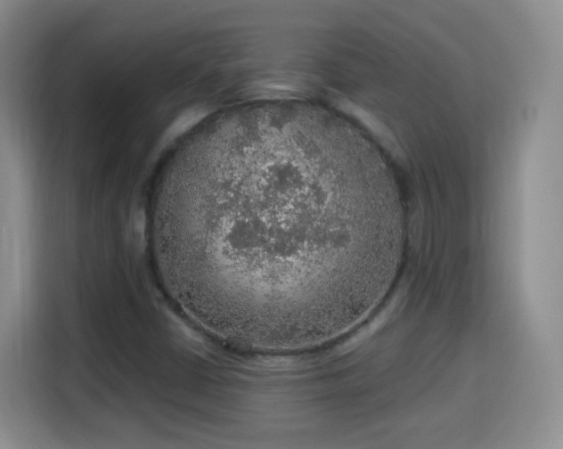 X0000115361402200911101147