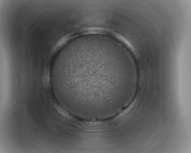 X0000115361403200911101147