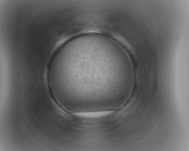 X0000115361404200911101147