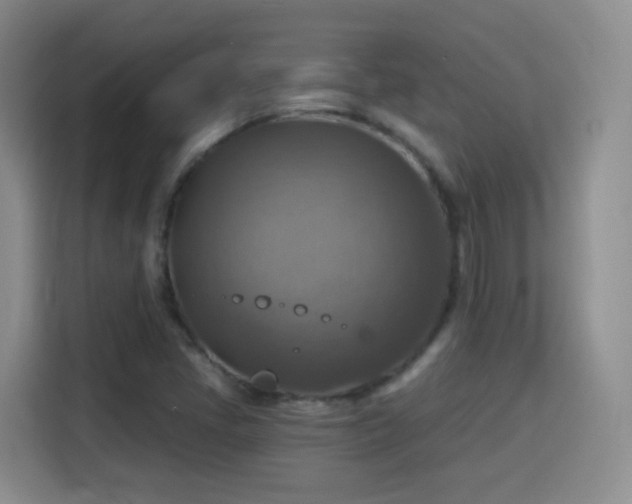 X0000115361405200911101147