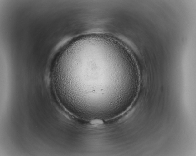 X0000115361406200911101147