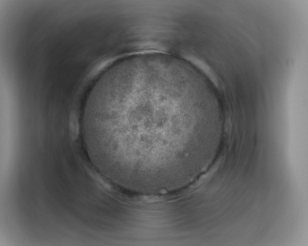 X0000115361407200911101147