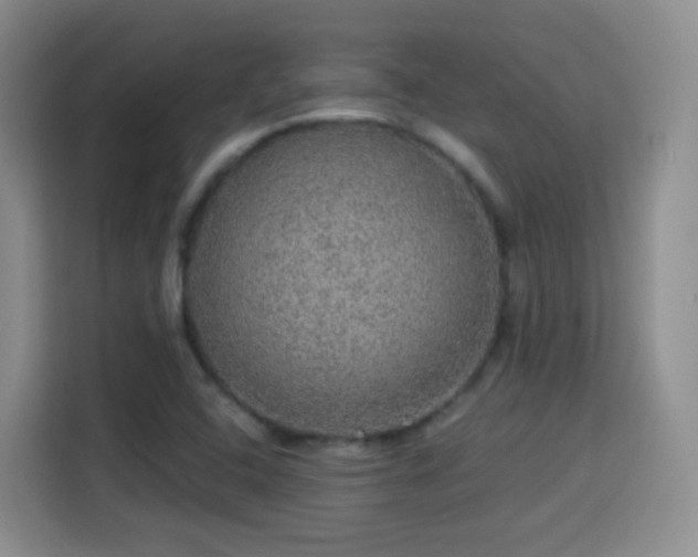 X0000115361408200911101147