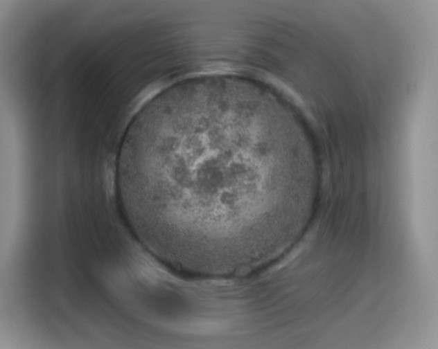X0000115361409200911101147