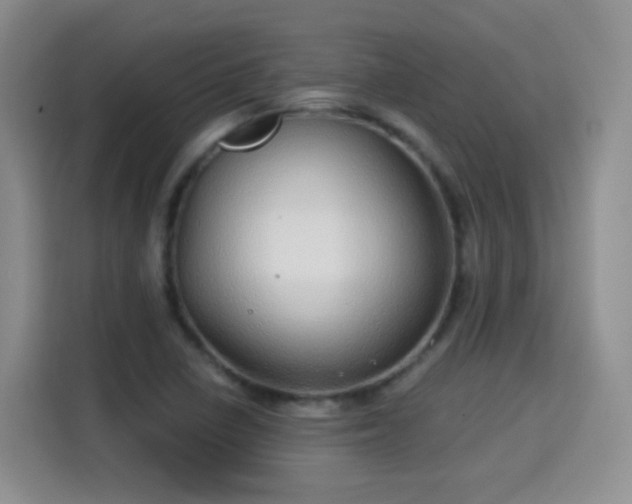 X0000115361410200911101147