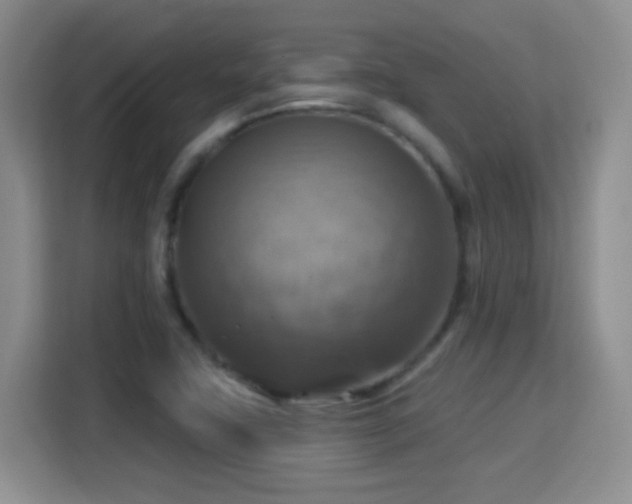 X0000115361411200911101147