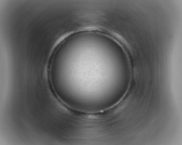 X0000115361412200911101147