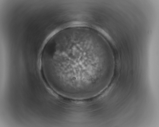 X0000115361413200911101147