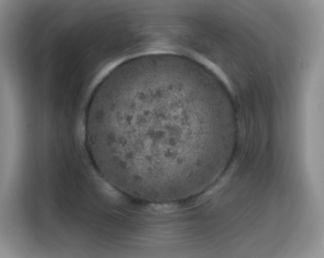 X0000115361415200911101147