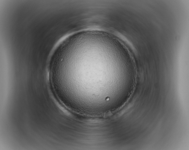 X0000115361416200911101147