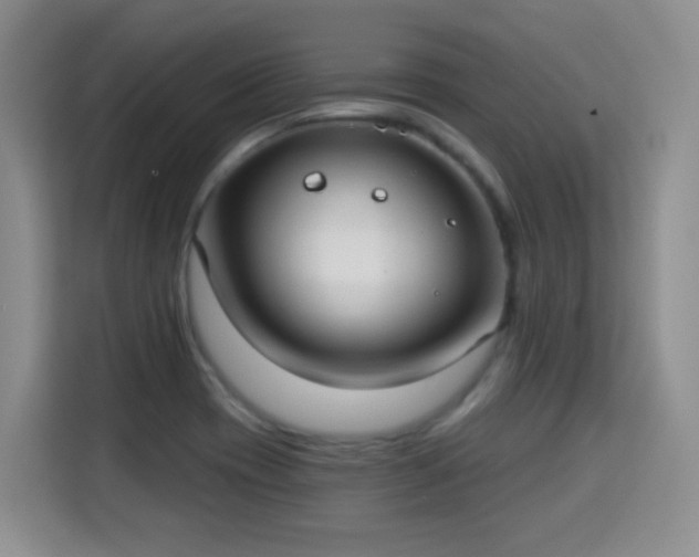 X0000115361417200911101147