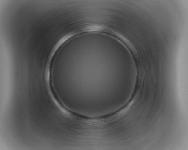X0000115361418200911101147