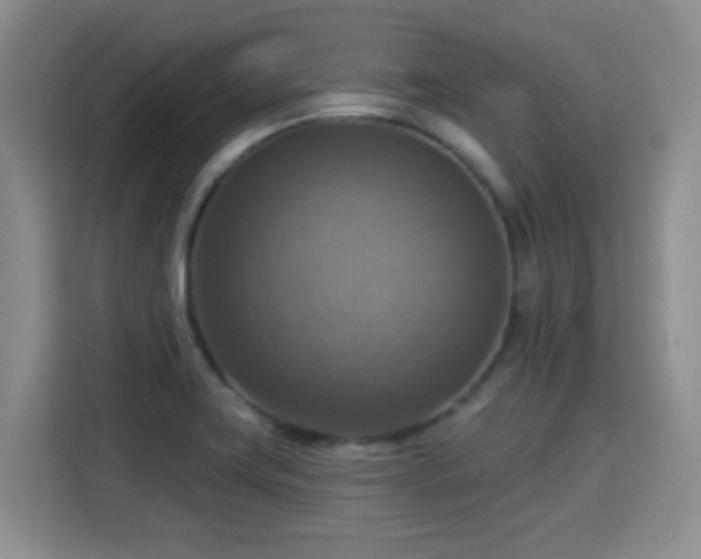 X0000115361419200911101147