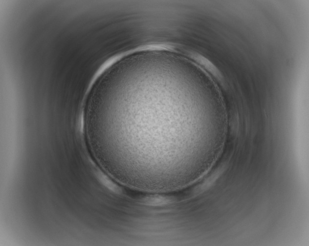 X0000115361420200911101147
