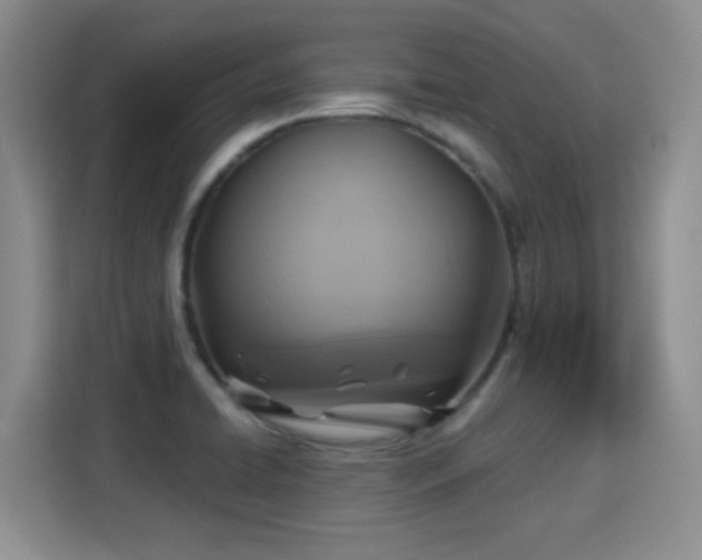 X0000115361422200911101147
