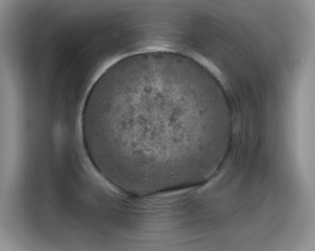 X0000115361423200911101147