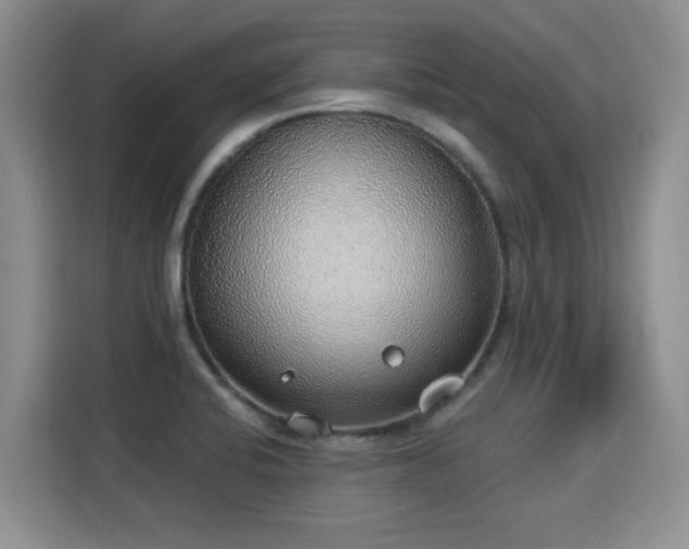 X0000115361424200911101147