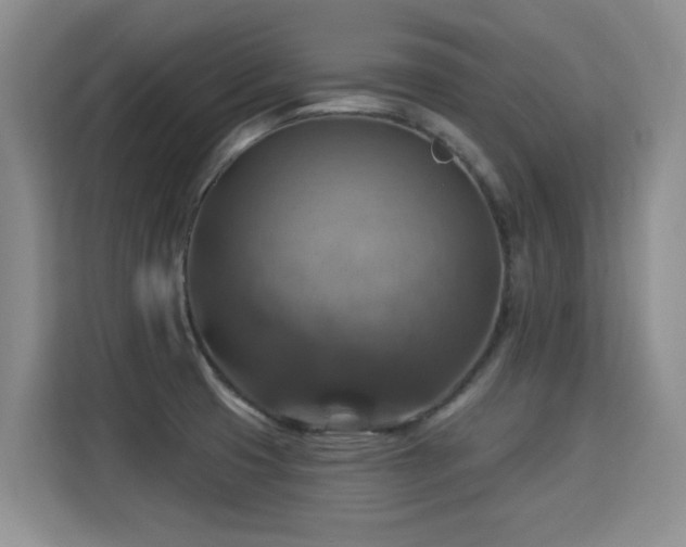 X0000115361425200911101147