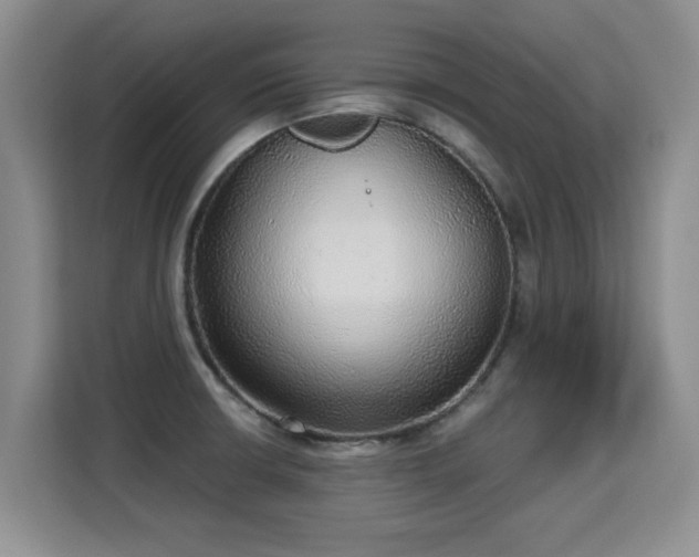 X0000115361426200911101147
