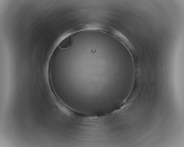 X0000115361427200911101147