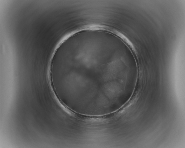 X0000115361429200911101147