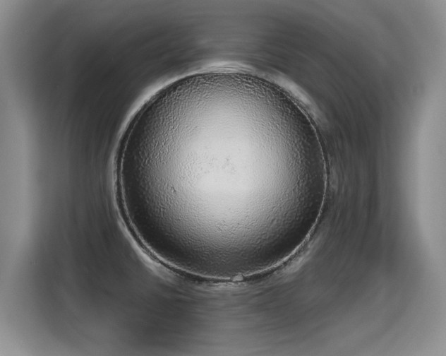 X0000115361430200911101147