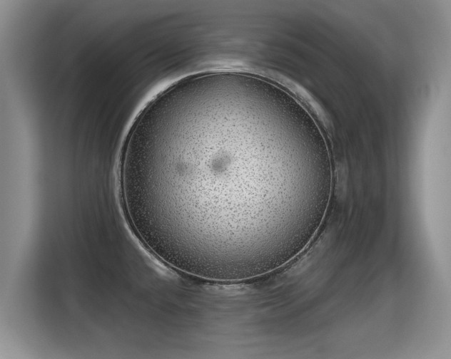 X0000115361432200911101147