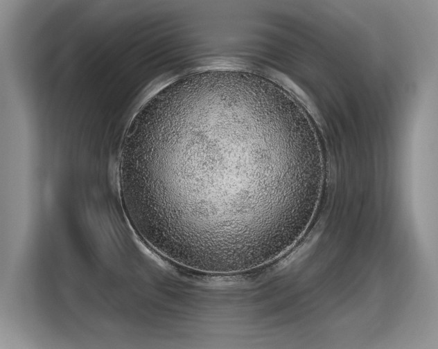 X0000115361433200911101147