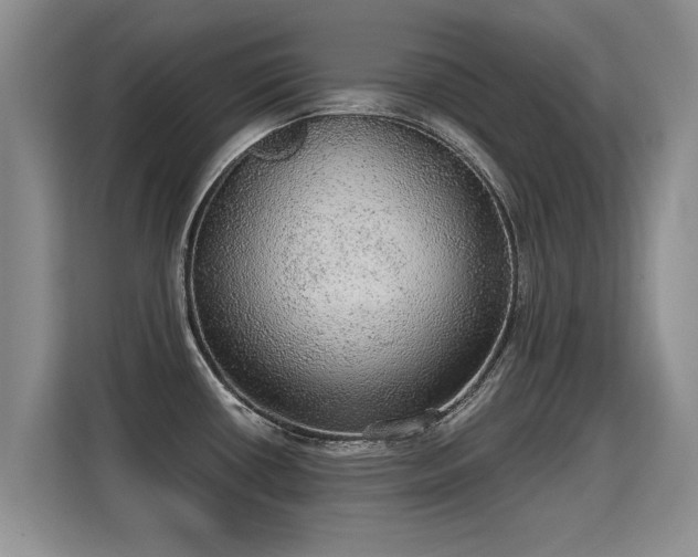 X0000115361434200911101147