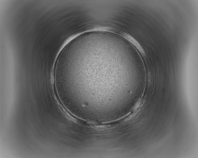 X0000115361436200911101147