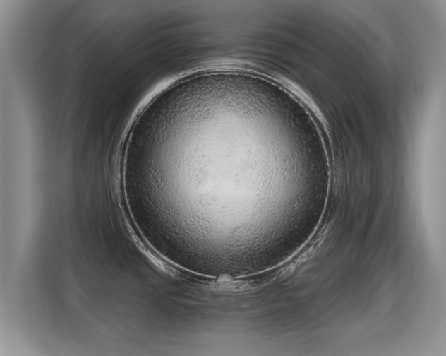 X0000115361437200911101147