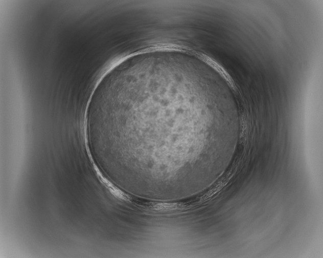 X0000115361439200911101147