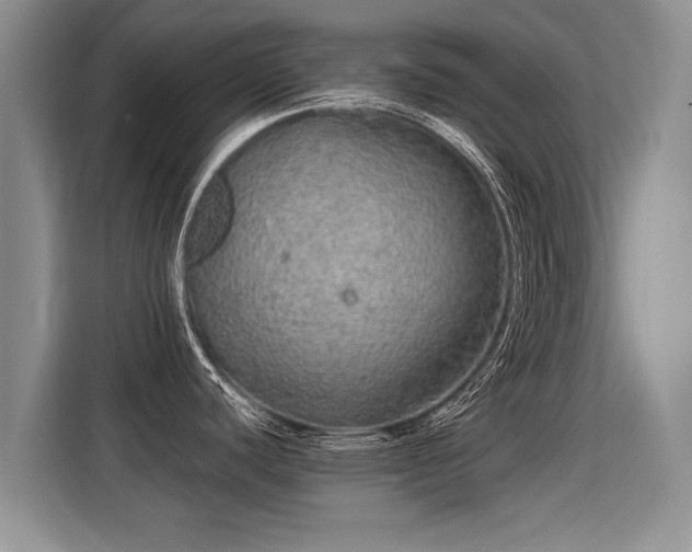 X0000115361440200911101147