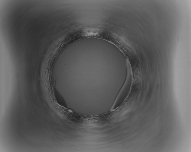X0000115361441200911101147