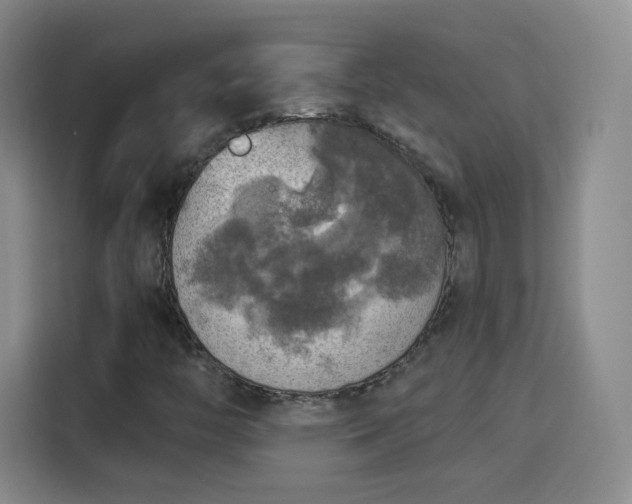 X0000115361446200911101147