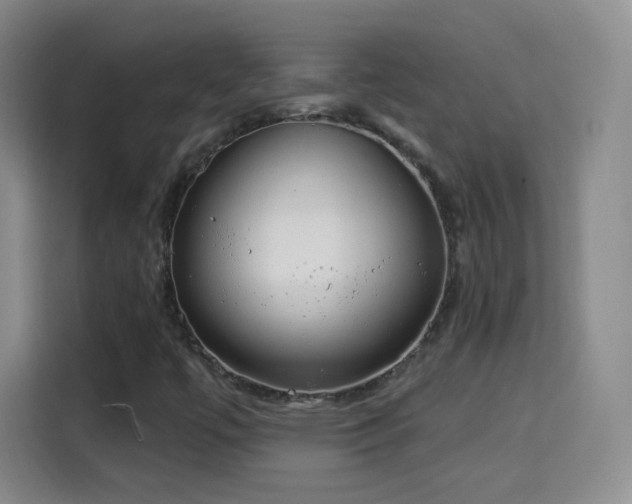 X0000115361447200911101147