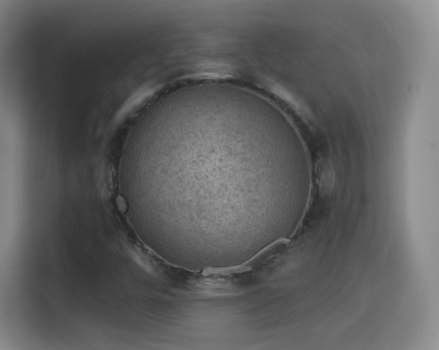 X0000115361448200911101147