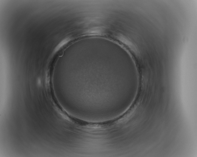 X0000115361450200911101147