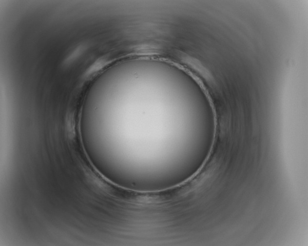 X0000115361451200911101147