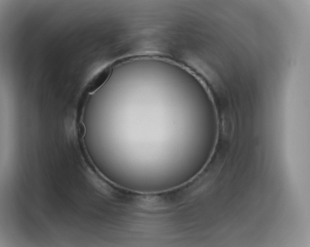 X0000115361452200911101147